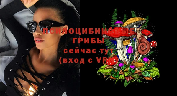 гашиш Богданович